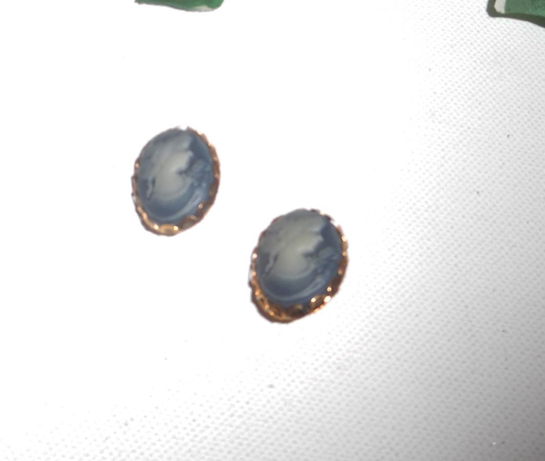 Blauwe camee oorbellen op clips