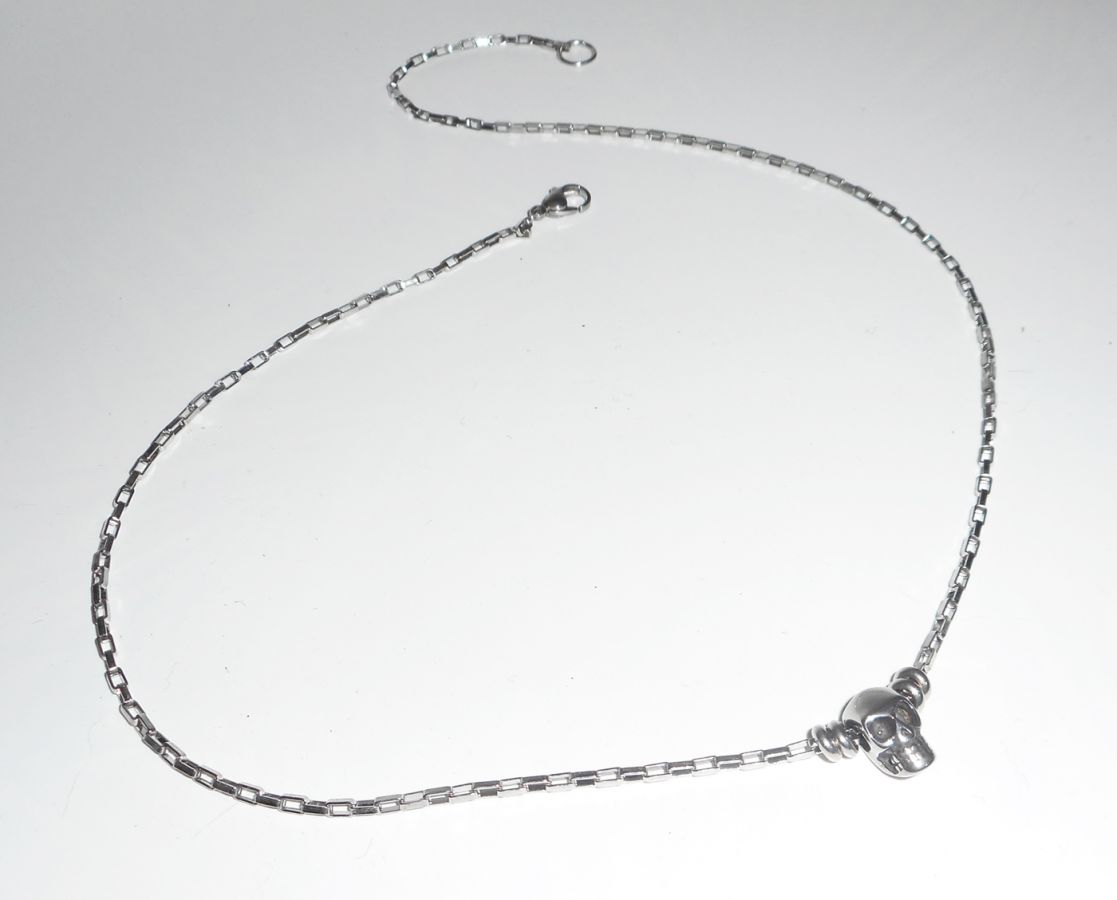 Schedel en gekruiste botten ketting aan roestvrij stalen ketting