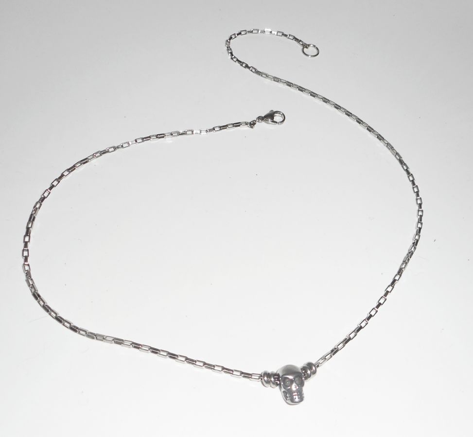 Schedel en gekruiste botten ketting aan roestvrij stalen ketting