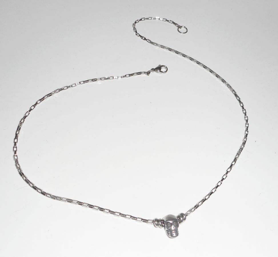 Schedel en gekruiste botten ketting aan roestvrij stalen ketting
